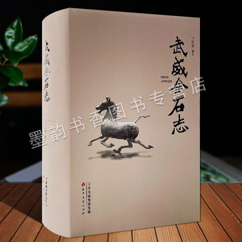 武威金石志 中国西北地区岩画碑刻墓志碑石刻雕佛像铭文记匾额史料文化研究历史文物资料马踏飞燕文物图集文献收藏天津古籍出版社
