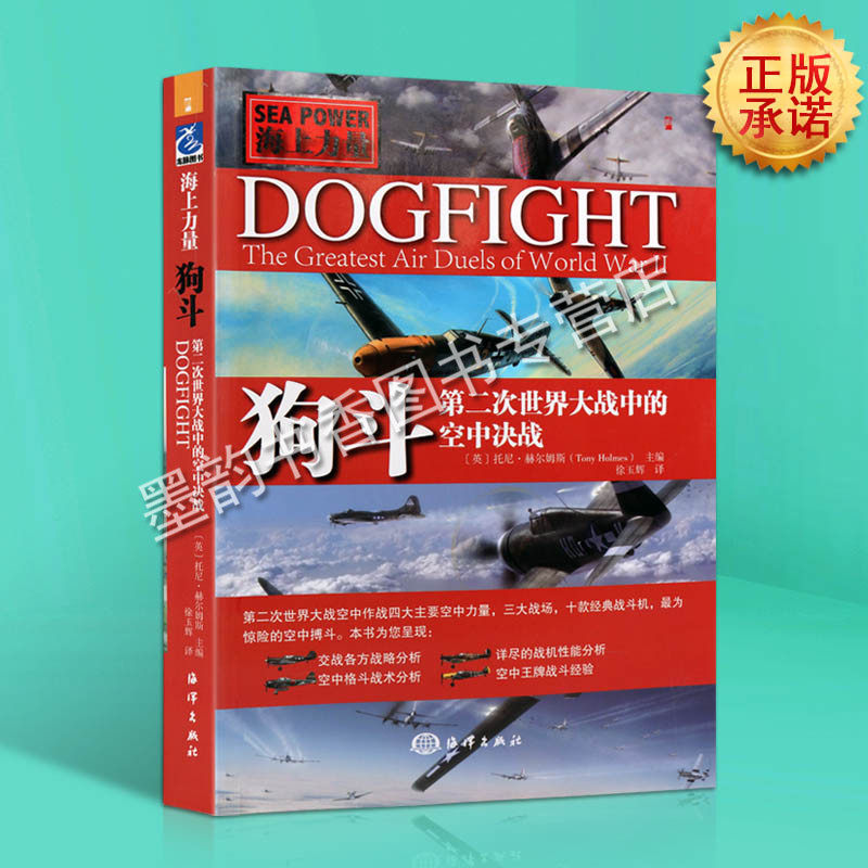 战场不列颠美国英国德国日本喷火bf109fw190野马零式战斗机武器书籍