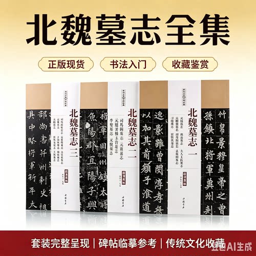 历代名家碑帖经典北魏墓志全集