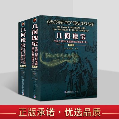 几何瑰宝(第2版)全套上下册平面几何500名题暨1500条定理初高中数学几何习题集图形平面几何知识历史经典名题练习哈工大出版社