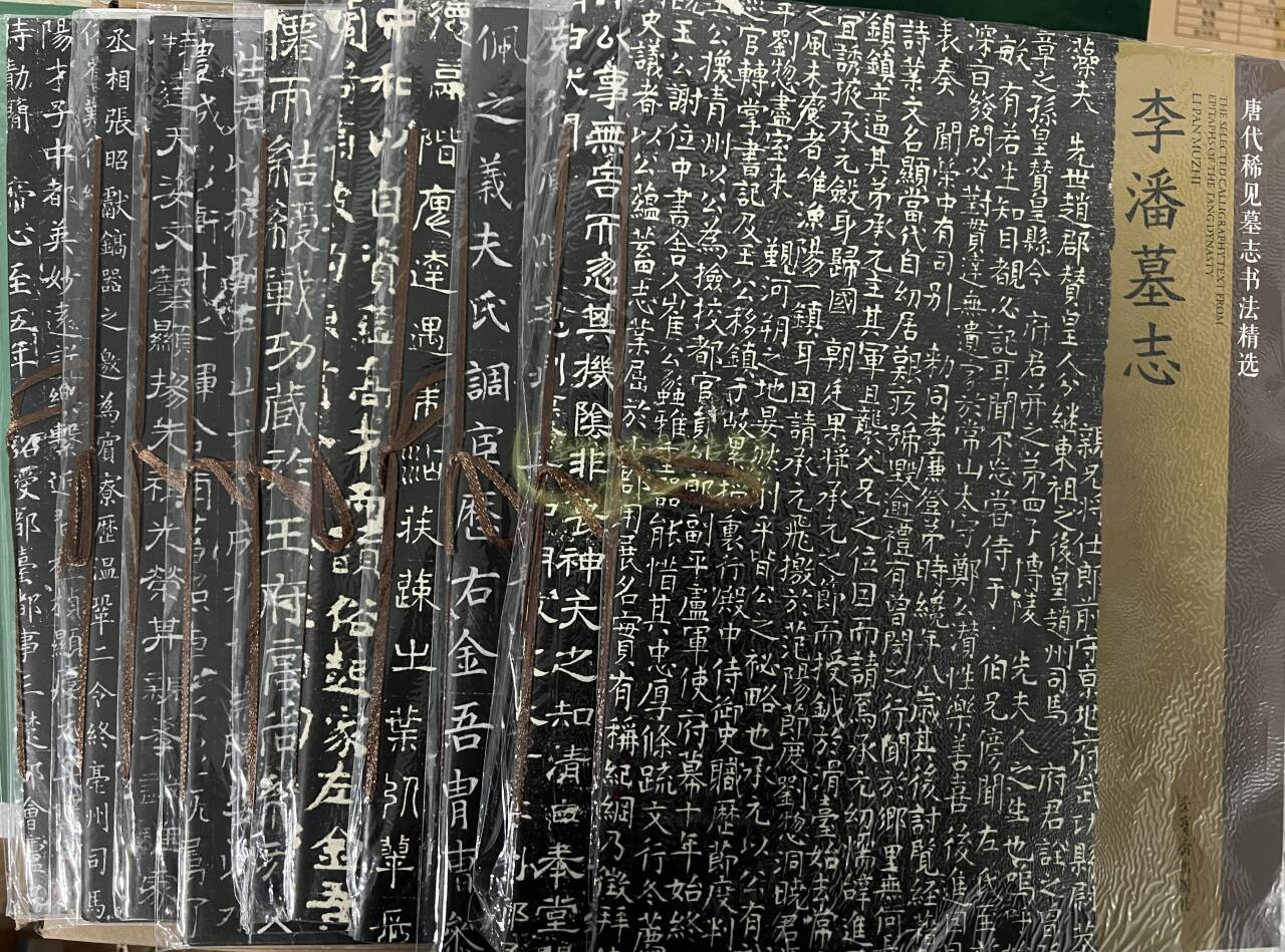 唐代稀见墓志书法精选(全套10册)8开刘慎朱武姜杜才皇甫冠章等墓志唐志斋博物馆收藏墓志影印中国古代书法碑帖字帖墨迹临摹练习书