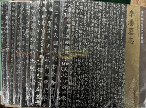唐代稀见墓志书法精选(全套10册)8开刘慎朱武姜杜才皇甫冠章等墓志唐志斋博物馆收藏墓志影印中国古代书法碑帖字帖墨迹临摹练习书