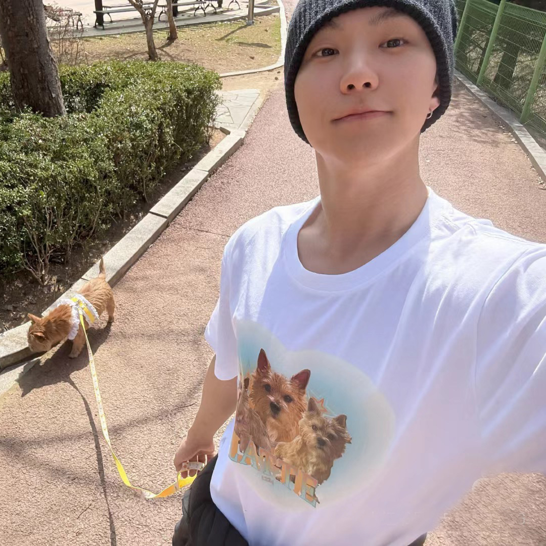 权顺荣拿铁痛衣同款白色短袖T恤男女宽松百搭上衣爱豆同款狗狗ins