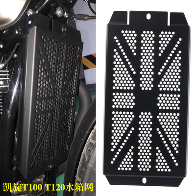 S2R凯旋T100t120水箱保护网