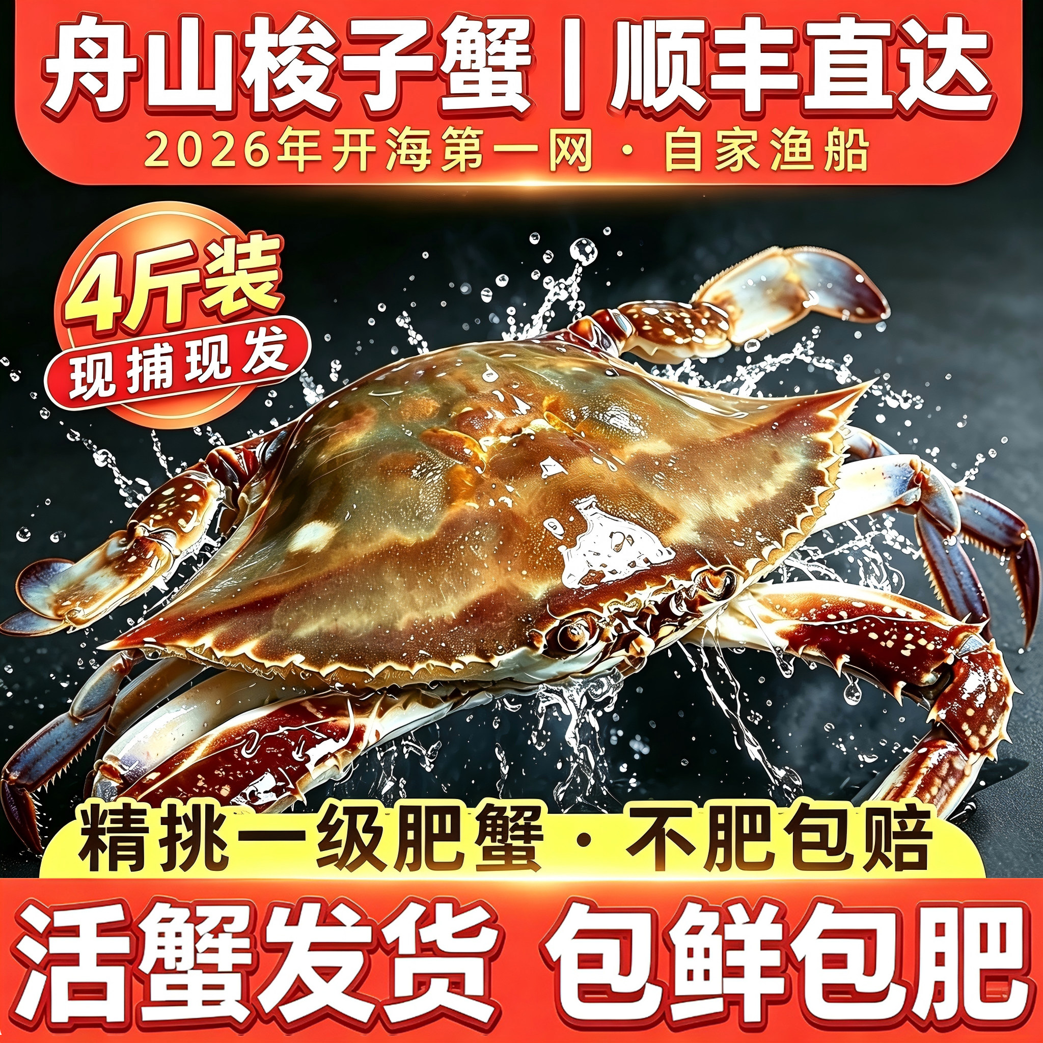 【保鲜不保活】舟山梭子蟹活海蟹新鲜海捕活发特大螃蟹梭飞蟹送礼