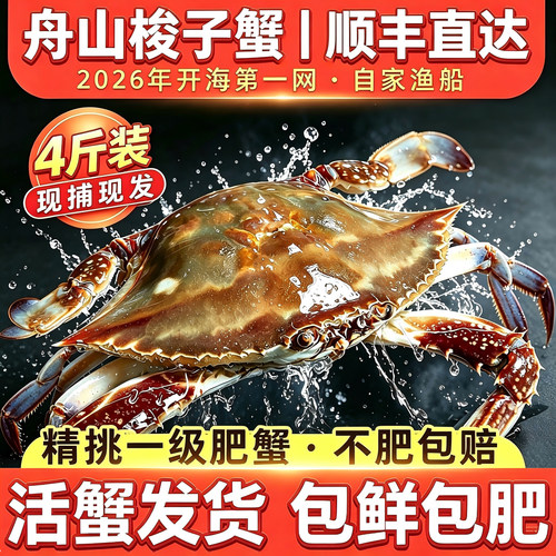 【保鲜不保活】舟山梭子蟹活海蟹新鲜海捕活发特大螃蟹梭飞蟹送礼