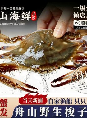 【保鲜不保活】舟山梭子蟹公母特大新鲜野生飞蟹白蟹海蟹螃蟹顺丰
