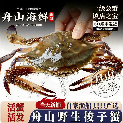【保鲜不保活】舟山梭子蟹公母特大新鲜野生飞蟹白蟹海蟹螃蟹顺丰
