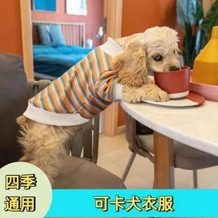 可卡犬衣服可卡犬泰迪吉娃娃比熊狗狗衣服春秋薄款条纹打底卫衣