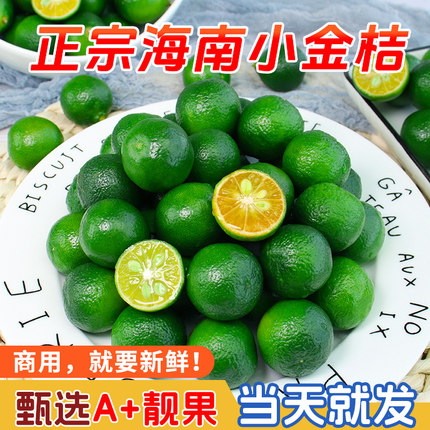 正宗海南青金桔小青柠檬新鲜绿酸橘子奶茶店商用皮薄多汁急速发货