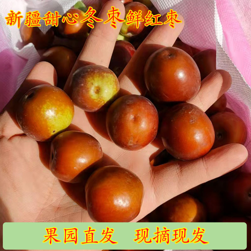 新疆沙漠甜冬枣自然露天鲜冬枣