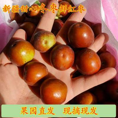 新疆沙漠甜冬枣自然露天鲜冬枣