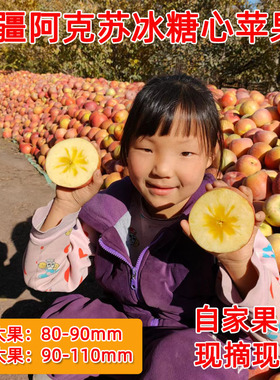 新疆阿克苏冰糖心苹果80-100mm光果一级大果9斤特大果现摘现发
