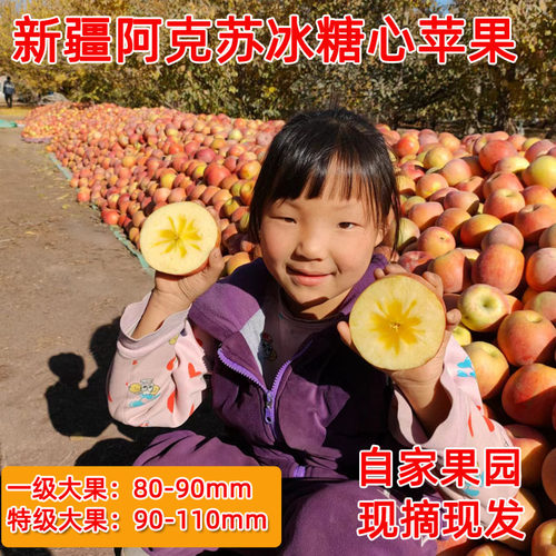 新疆自家果园阿克苏冰糖心苹果