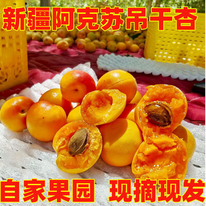 新疆阿克苏小红杏吊干杏鲜果杏甜杏子非小白杏自家果园包空运