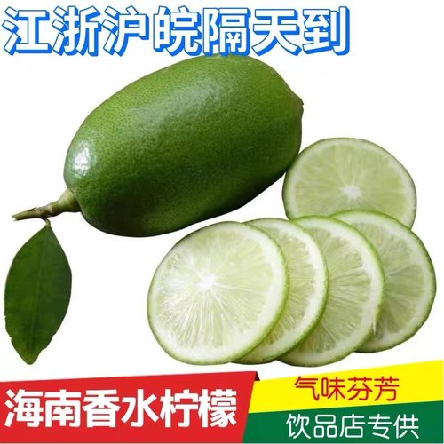 海南无籽香水柠檬5斤装子弹头新鲜青柠檬奶茶店饮品包邮暴打柠檬