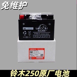 适用豪爵理士GW250F/S GSX250R/DL250/DR300/TR/XCR原装电瓶电池