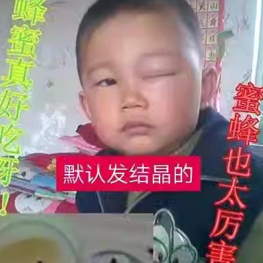 二斤原蜜新蜜25年小郭蜜蜂园蜂农自产东北成熟黑蜂椴树蜜结晶雪蜜