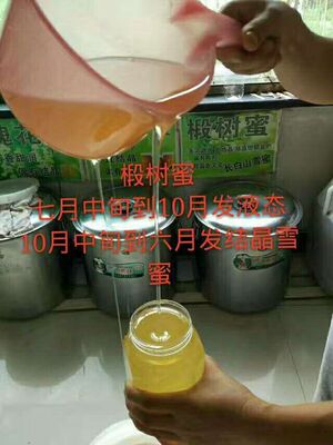500克小郭蜜蜂园26年东北黑蜂椴树蜜雪蜜长白山天然成熟原蜜