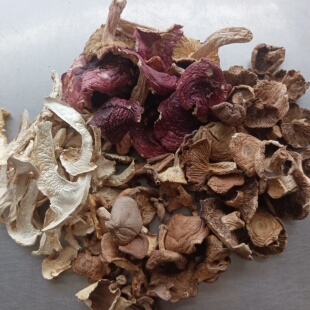 云南野生干菌混合包松茸，香蕈，红菇，厚皮菌栗树青，重量平均分