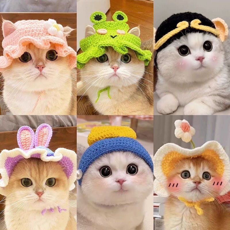 宠物头套猫咪狗狗编织帽子道具头帽子