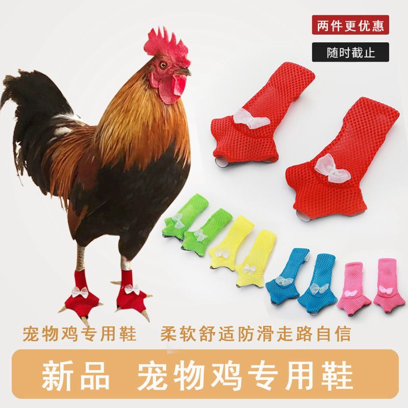 宠物鸡鞋鸡靴宠物服饰防滑网红宠宠物鞋子