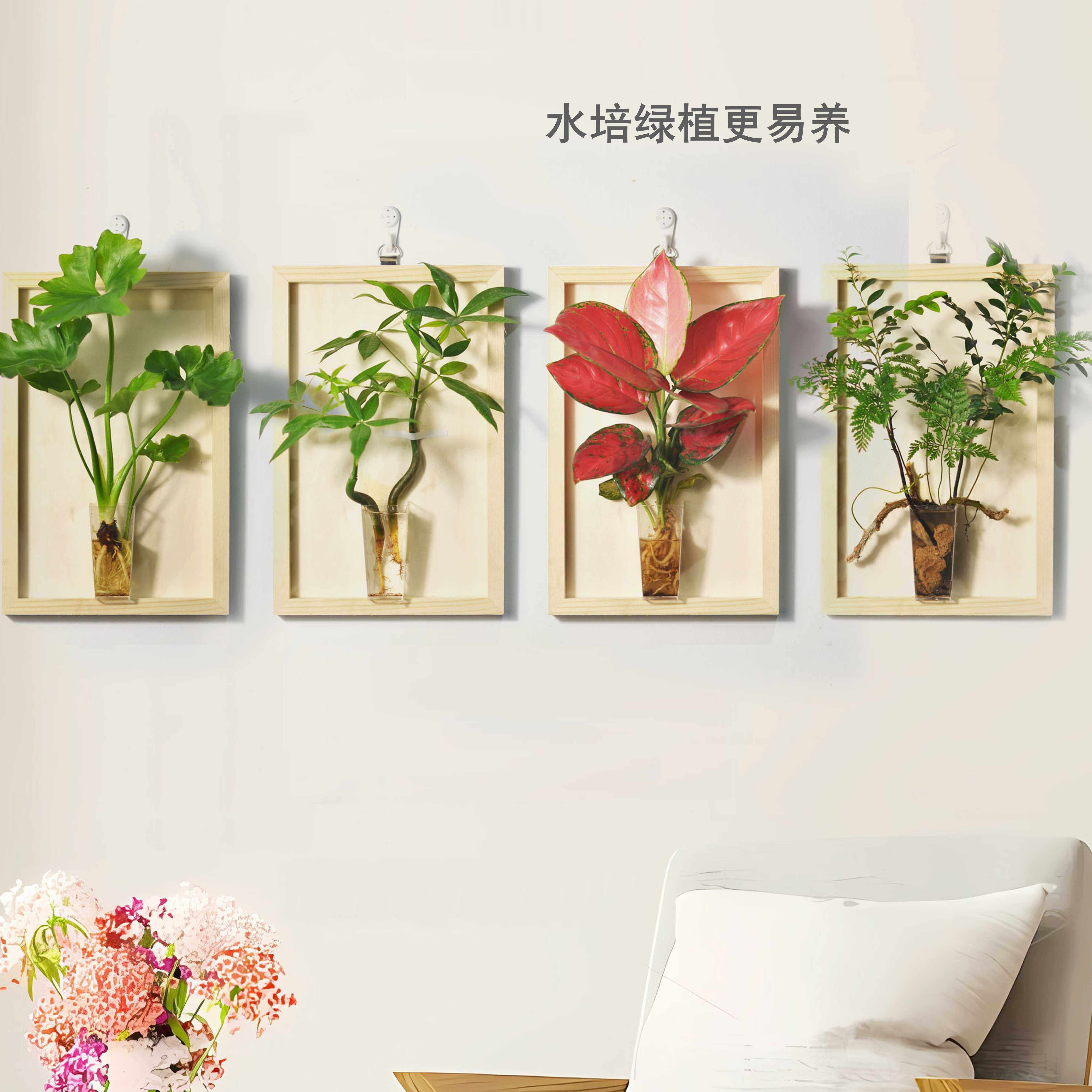 墙装饰壁挂水培真花绿萝薜荔长春藤绿植插花悬挂墙上壁饰家居简约