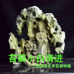 台湾吴定石附石盆景菖蒲吸水石太湖石苔藓菖蒲微景观禅意小盆景