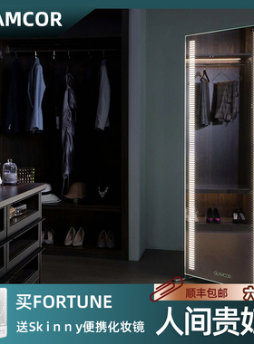FortuneAndFame全身镜GLAMCOR大平层别墅现代奢华LED补光明星同款