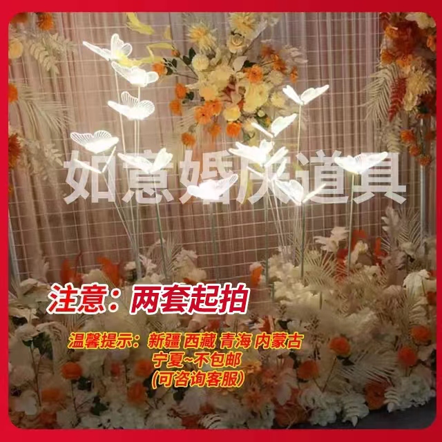 婚礼道具铁艺蝴蝶路引现场发光