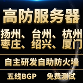 T级高防i9物理远程服务器租用传奇页游戏网站微端托管BGP独享秒解