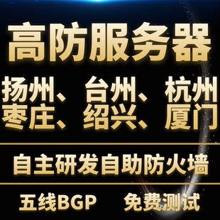 T级高防i9物理远程服务器租用传奇页游戏网站微端托管BGP独享秒解