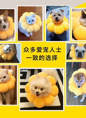 cat dog pet collar anti bite sunflower neck circle protector