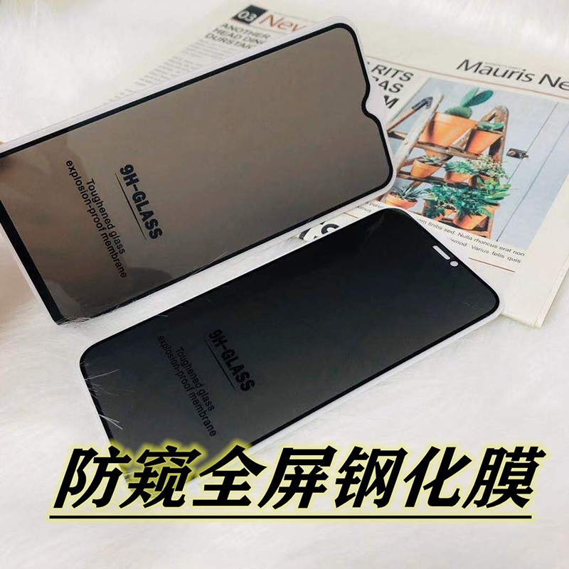 iPhone苹果16 15 14 13 PRO PROMAX MAX MINI防偷窥钢化膜手机全屏防窥