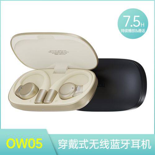 阿思络 OW05 金属款TYP真无线降噪耳机