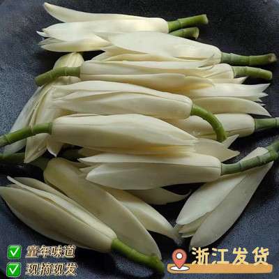 白兰花浙江发货现摘现发