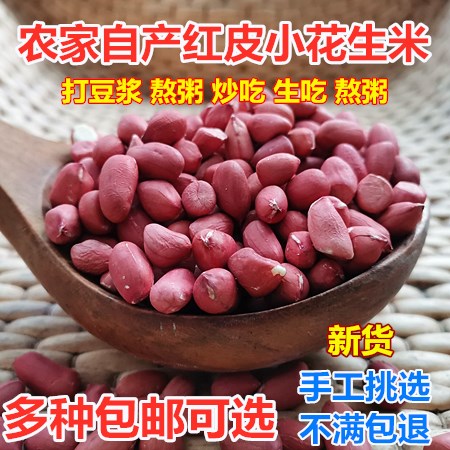 农家新货红皮花生米小粒生红