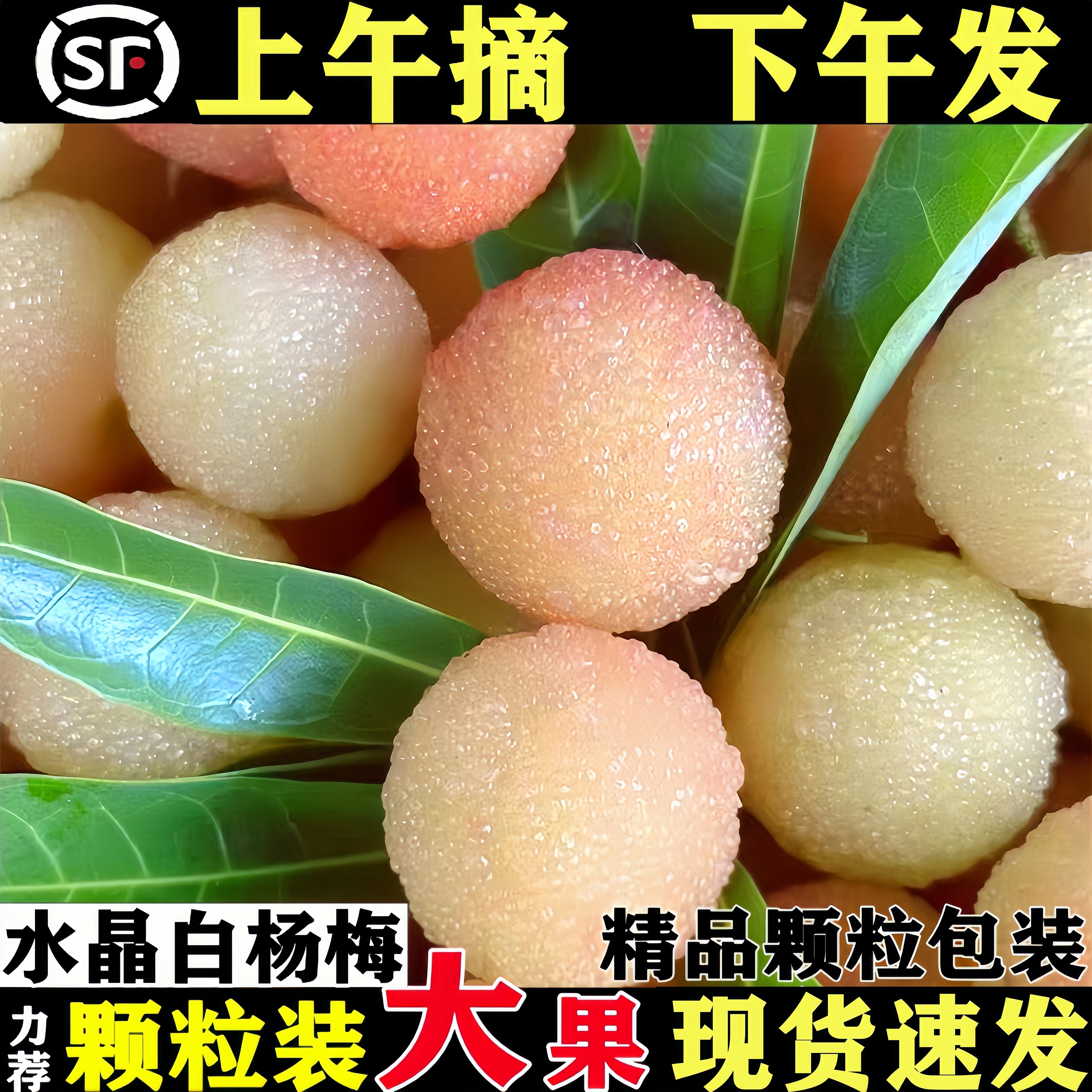 【稀有贡梅】白杨梅水果新鲜现摘现发当季整箱仙居水晶白杨梅鲜果,水产肉类/新鲜蔬果/熟食,杨梅,淘宝优惠券,粉丝福利购,淘宝优惠卷