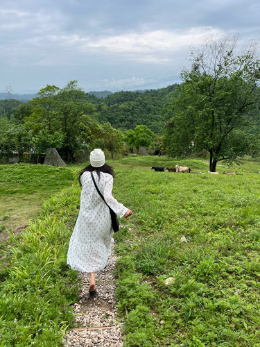 通勤a字印花系带连衣裙