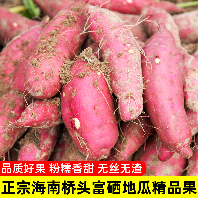 正宗桥头地瓜粉糯无丝产地发货