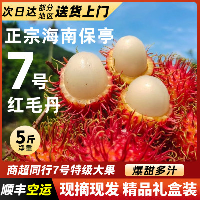 保亭红毛丹正宗7号果甜蜜多汁