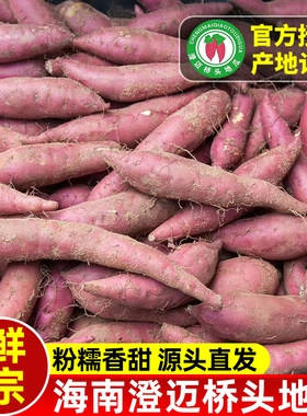 正宗海南澄迈桥头红薯新鲜富硒地瓜板栗薯黄心番薯鸣门金时番薯