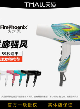 火之凤8960发廊专用电吹风机理发店大功率冷热家用风筒发型师正品