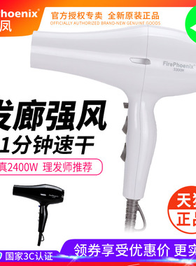 火之凤吹风机发廊专用大功率理发店专业造型风筒2400W大风力3300H