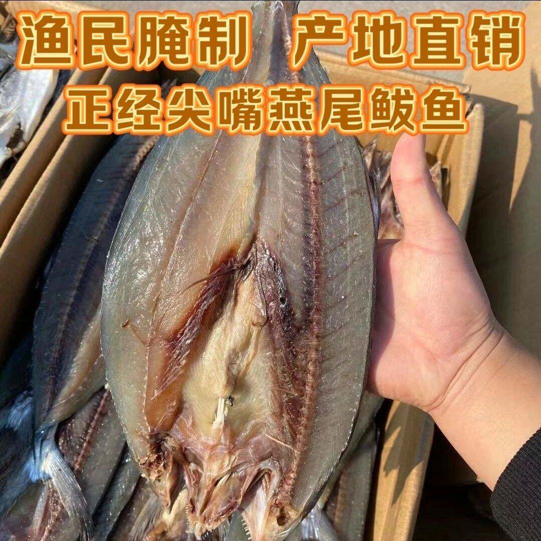大连新鲜咸鲅鱼干海捕燕鲅鱼干马鲛鱼干自晒尖嘴鲅鱼干刀鲅鱼海鲜