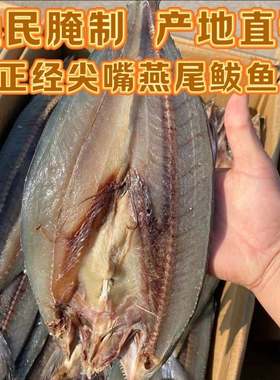 新鲜咸鲅鱼干野生马鲛鱼干