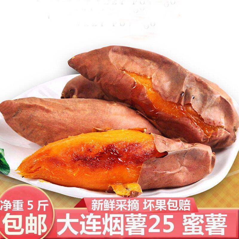 瓦房店地瓜烟薯25号糖心蜜薯沙地烟薯25红心流油烤红薯番薯板栗薯