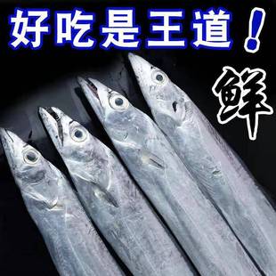 大连渤海湾刀鱼当地冷水小眼油带鱼3斤新鲜冷冻当地海捕4-6两/条