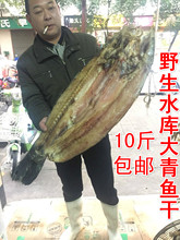 湖北特产农家自制咸鱼干货腊鱼风干鱼野生螺蛳青鱼干整条10斤包邮