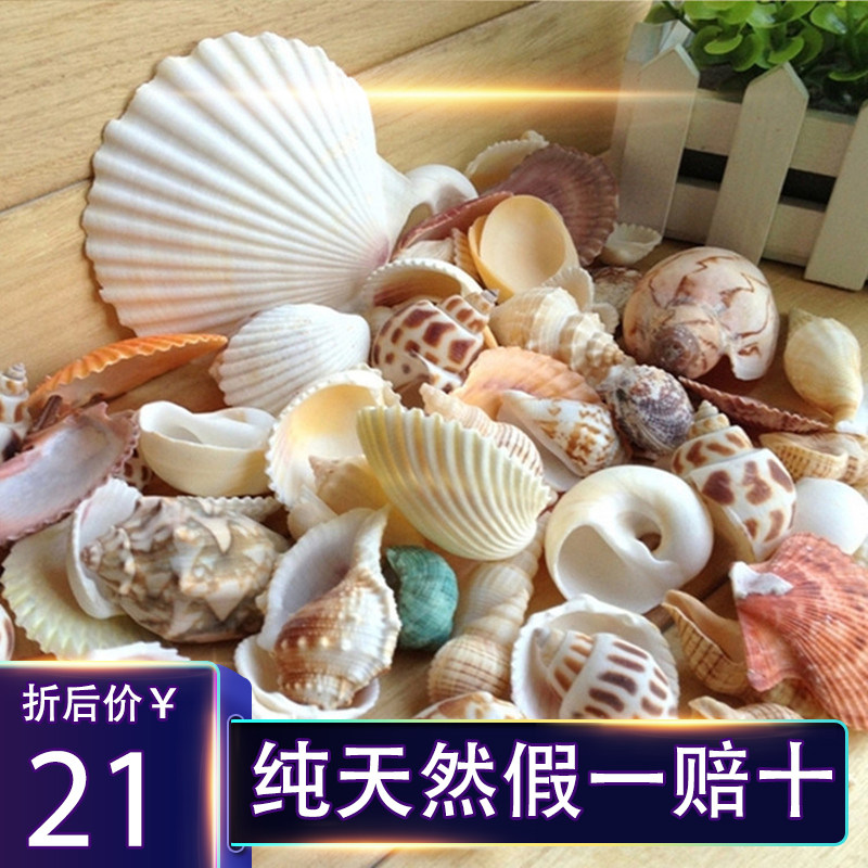 鱼缸造景小摆件海底世界装饰乌龟缸水族箱铺底海螺贝类底砂沙贝壳在类目 宠物/宠物食品及用品, 水族世界, 鱼缸等水族设备, 鱼缸/水族箱中 - 来自Buy2taobao.com提供专业的淘宝代购服务